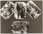A page from Romek Wajsman's photo album, which includes four photos of members of the Buchenwald children's transport during their stay at the Ecouis children's home.