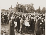 German civilians carry the body of one of 200 Russian prisoners, exhumed from a mass grave in Wuelfel, to a new grave near Hanover City Hall.