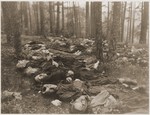 The bodies of Polish, Russian, and Hungarian Jews in the woods near Neunburg vorm Wald.