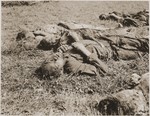 The corpses of male prisoners exhumed from a mass grave near Hirzenhain lie out in a field.