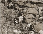 The corpses of female prisoners exhumed from a mass grave near Hirzenhain lie out in a field.