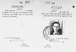 DP identity card, issued by the Jewish administration of the Poppendorf displaced persons camp, certifying that Cilia Rudashevsky was an illegal immigrant aboard the Exodus 1947, who was brought back to Germany against her will, and who "is in exile on [her] way back to Eretz-Israel".