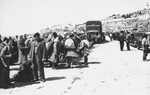 Exodus 1947 refugees wait to board the President Warfield on a quay in Sete's harbor, on their way to Palestine.