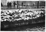 Survivors stare at a line of corpses partially hidden by snow lying next to the Dachau moat; [these might be former SS guards killied in revenge.]