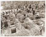 Under the supervision of an American soldier, German civilians from Suttrop dig graves for the bodies of 57 Russians, including women and one baby, exhumed from a mass grave outside the town.