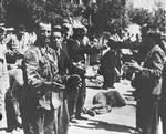 German soldiers force Jewish men to perform calisthenics on Eleftheria (Freedom) Square in Salonika.