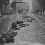 The bodies of civilians shot by German troops lie next to the wall of the Pancevo city cemetery.