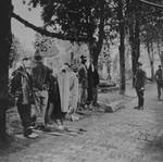 The bodies of civilians executed by German troops hang in the Pancevo city cemetery.