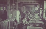 Carpenters work in the Lodz ghetto furniture factory.
