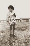 Portrait of a Romani girl in the Rivesaltes detention camp.
