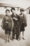 Three Romani boys in the Rivesaltes internment camp.
