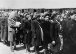 Jewish women from Subcarpathian Rus who have been selected for forced labor at Auschwitz-Birkenau, wait to be taken to another section of the camp.