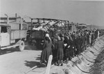 Jewish women and children from Subcarpathian Rus who have been selected for death, watch as trucks loaded with confiscated personal property drive past on their way to the "Kanada" warehouses.