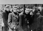 Jews from Subcarpathian Rus who have been selected for forced labor at Auschwitz-Birkenau, wait to be taken to another section of the camp.