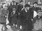 Jewish women and children from Subcarpathian Rus who have been selected for death at Auschwitz-Birkenau, walk toward the gas chambers.