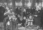 Jews from Subcarpathian Rus who have been selected for death at Auschwitz-Birkenau, wait in a clearing near a grove of trees before being led to the gas chambers.