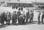 Jews from Subcarpathian Rus undergo selection at Auschwitz-Birkenau; in the background is a group of Jews headed towards the gas chambers and crematoria.