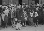 Jewish women and children from Subcarpathian Rus await selection on the ramp at Auschwitz-Birkenau.