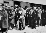Jewish men and boys from Subcarpathian Rus await selection on the ramp at Auschwitz-Birkenau.