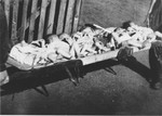 Yugoslav infants lie in a row on a stretcher in the Jastrebarsko concentration camp.