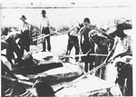 Prisoners at forced labor in the Jasenovac III concentration camp brickyard mixing lime in large troughs.