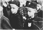 Serbian boys dressed in Ustasa uniforms are assembled in the Stara Gradiska concentration camp.