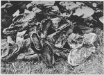 The shoes of prisoners killed at the Gradina execution site near the Jasenovac concentration camp.