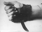 A special knife that is worn over the hand that was used by the Ustasa militia for the quick slaughter of inmates in concentration camps.