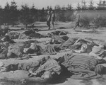 American soldiers walk past the bodies of Ohrdruf prisoners who were killed during the evacuation of the concentration camp.