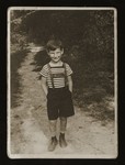 Portrait of Ilie Wachs, age six.