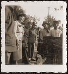 German Jewish refugees observe a Chinese wedding procession (featuring ducks) in Shanghai.