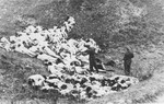 A German police officer shoots Jewish women still alive after a mass execution of Jews from the Mizocz ghetto.