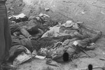 Slain camp guards, killed in revenge killings, lie next to a wall in the Dachau concentration camp.