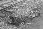 The corpse of a prisoner lies next to the train tracks in Dachau.