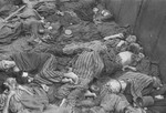 Corpses in a death train in Dachau.