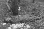A slain camp guard lies in the grass surrounded by what are probably his personal papers and documents.