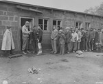 A U.S. Army sergeant checks the papers of new German prisoners lined up outside of the processing center of the Recklinghausen internment camp.