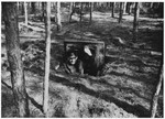 A Dutch policeman looks out the hatch of a small bunker that served as a hiding place for Dutch Jews in the Eibergen region in 1942-1943.
