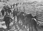 Members of the "Prinz Eugen" division climb Mount Kopaonik with their horses and supplies.