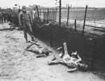 An American soldier stares at two badly burned corpses lying next to a barbed wire fence in the Leipzig-Thekla sub-camp.