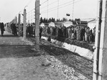Survivors congregate next to the barbed wire fence surrounding the Dachau concentration camp.