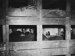 Survivors pose in their bunks in a barracks of the Dachau concentration camp.