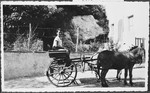 Sergio Minerbi rides a pony or donkey wagon during his summer holiday in Capri.