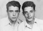 Studio portrait of two brothers sent to their mother in Czechoslovakia as soon as they discovered that she had survived the war.