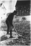 A man digs in a garden in the Windsheim displaced persons' camp.