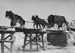 SS soldiers from the Prinz Eugen Division travel by horse and carriage over an icy bridge in Croatia.