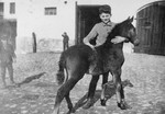 A young boy pets a foal in the Gross Breesen agricultural training center.