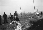 A Romani family poses outdoors, while a dog sits in the foreground.