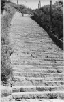 View of the 183 steps leading from the quarry in the Mauthausen concentration camp.