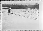 A man and woman walk past the markers in the newly built cemetery at the Mauthausen concentration camp.